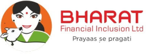 Bharat Financial